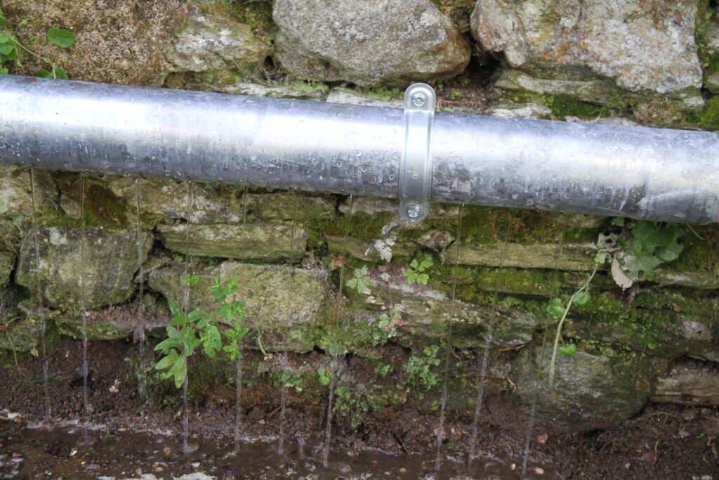 Système d'aspersion au jardin - Terrasalica éco paysagiste Nantes