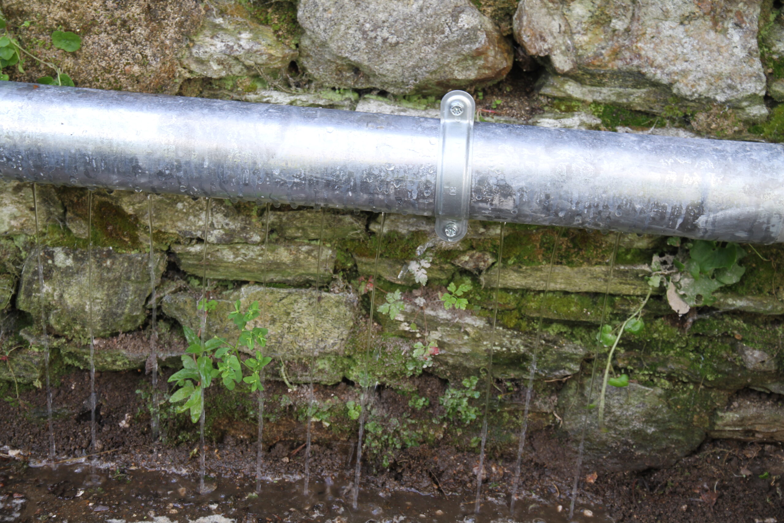 Système d'aspersion au jardin - Terrasalica éco paysagiste Nantes