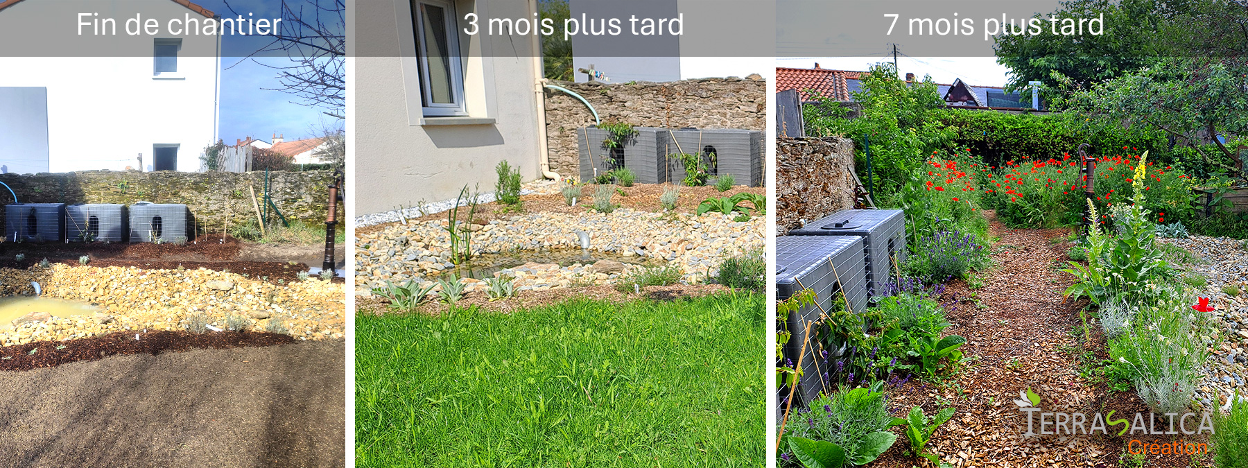 Jardin naturaliste Terrasalica création