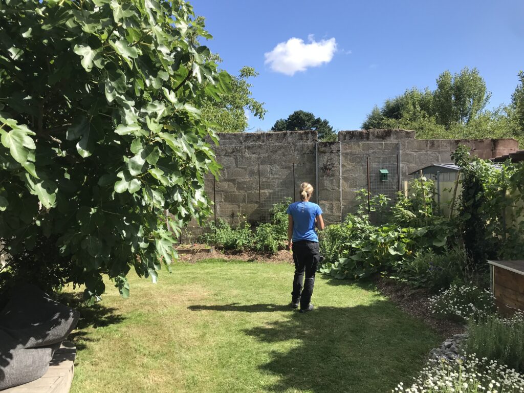 Petit jardin de ville