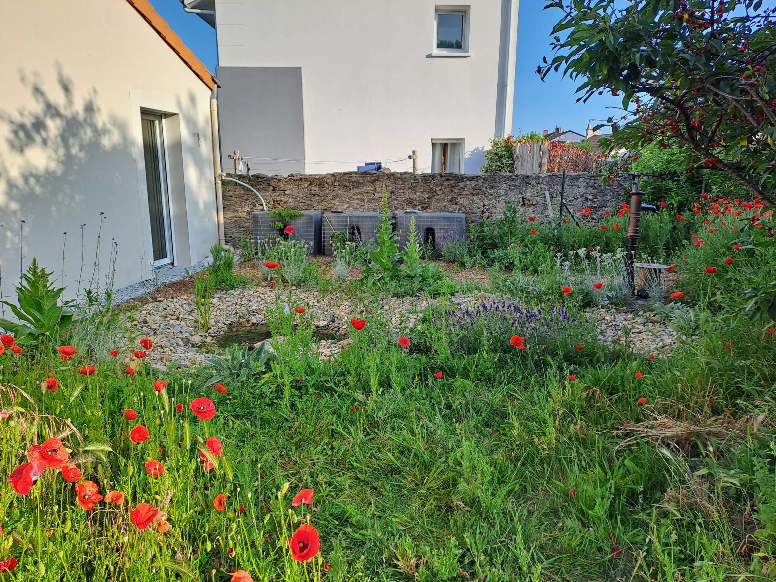 Création de jardin naturaliste urbain