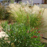 Petit Jardin de 80m²