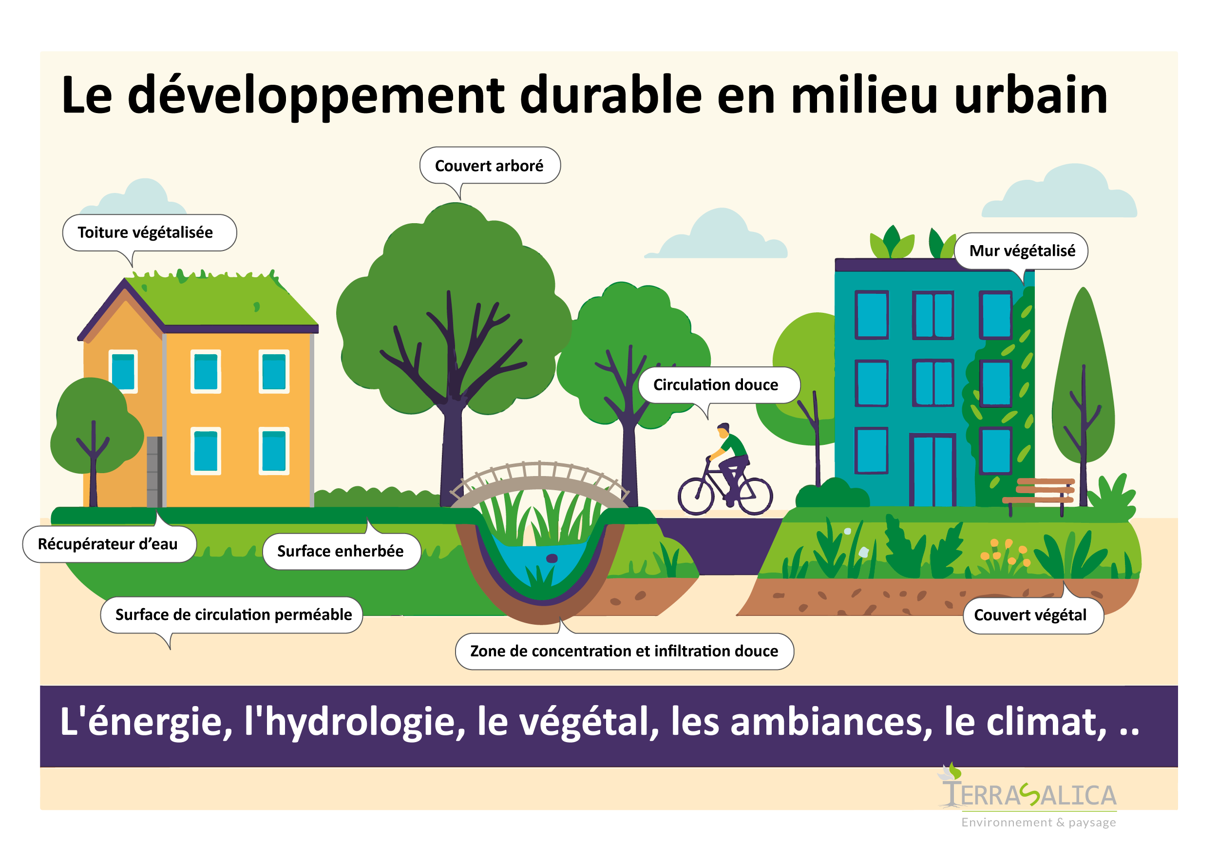 Illustration du VegDuD