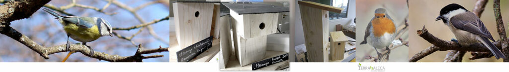 Nichoirs à oiseaux - article Terrasalica sas