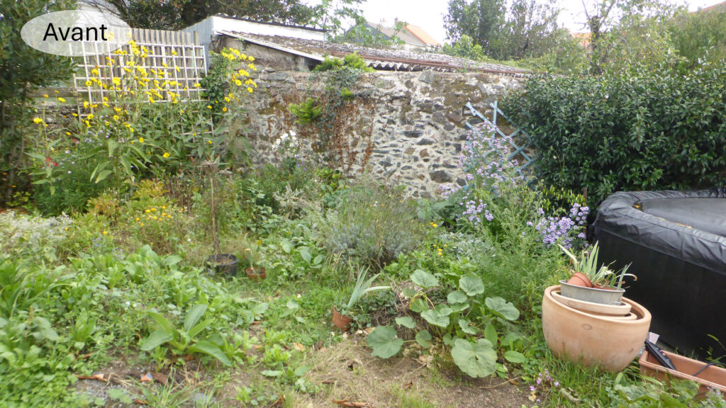 Photo du jardin dans son état initial avant restructuration