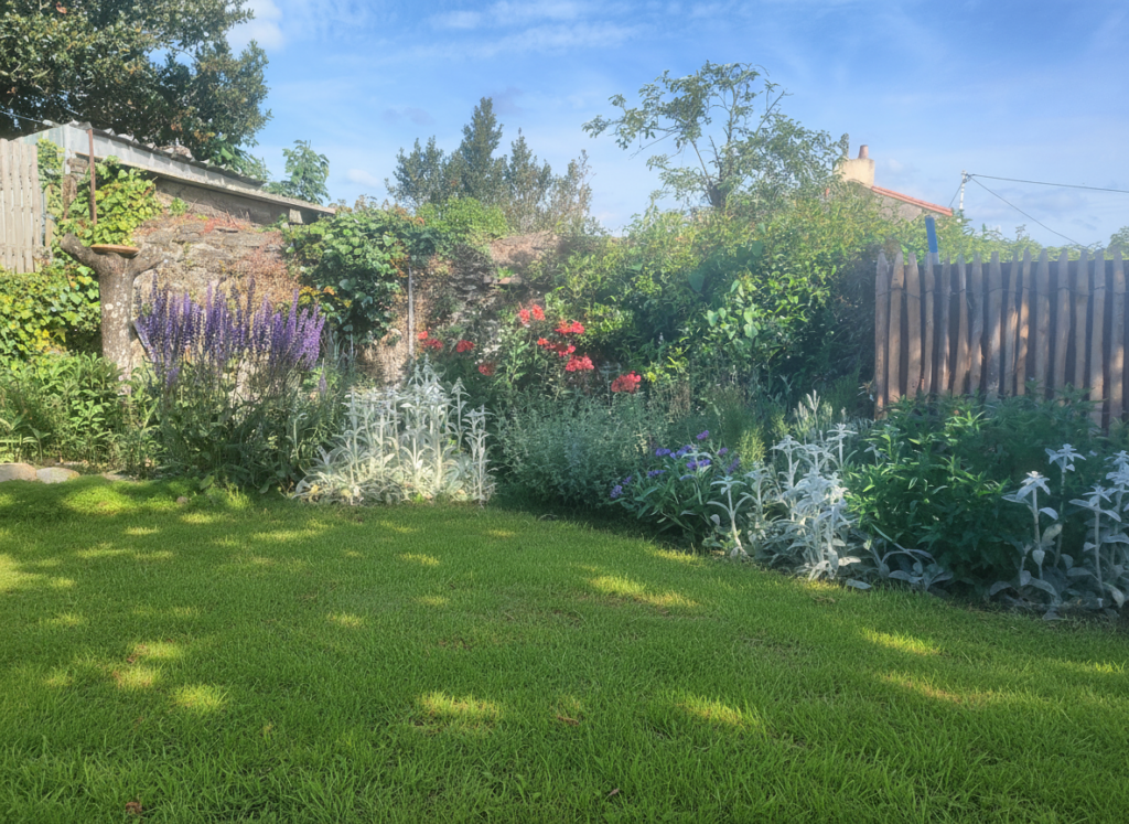 Espace pelouse bordé d'un bel ourlet fleurie pur un Jardin écologique urbain.
Terrasalica Création Paysagiste à Nantes
