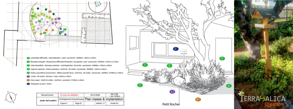 Plan d'aménagement initial d'un partie du Jardin écologique urbain - Terrasalica Création - Paysagiste à Nantes