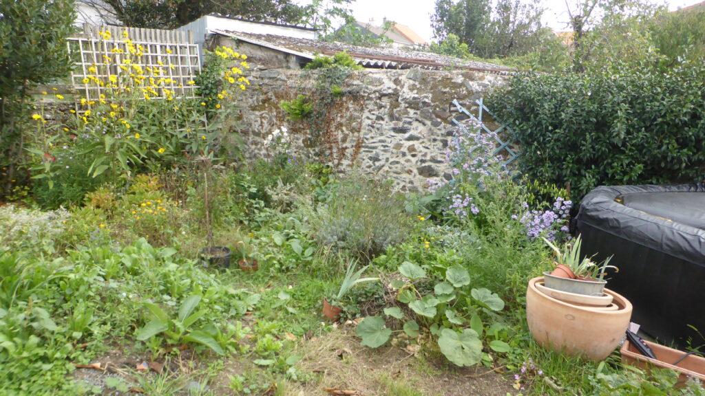 Photo du jardin dans son état initial avant restructuration