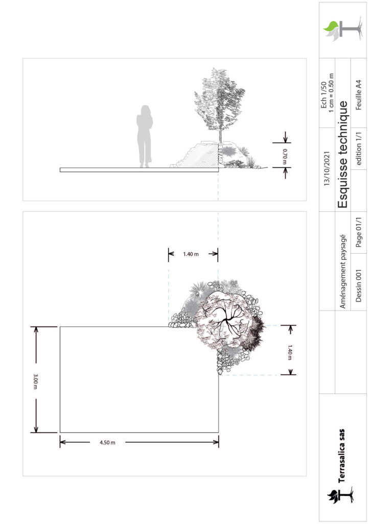 Plan d'une rocaille méditerranéenne avec un olivier | Terrasalica paysagiste Nantes