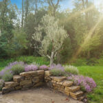 Rocaille fleurie - rocaille écologique