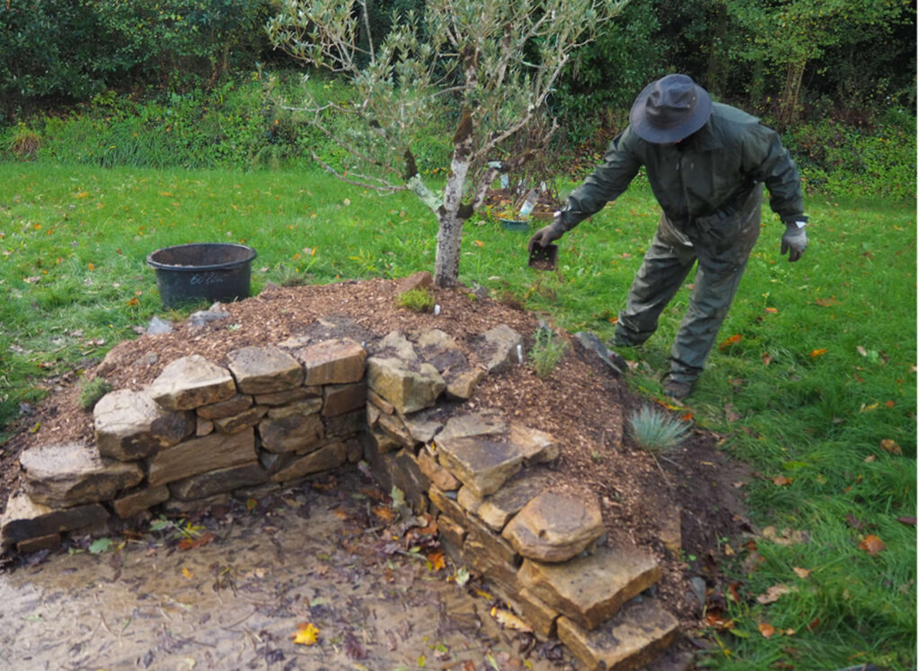 Rocaille avec muret pierres sèches - réalisation